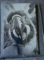Váš obrázek - Gravírování: Fotografie , Vizitka: 55x85 mm