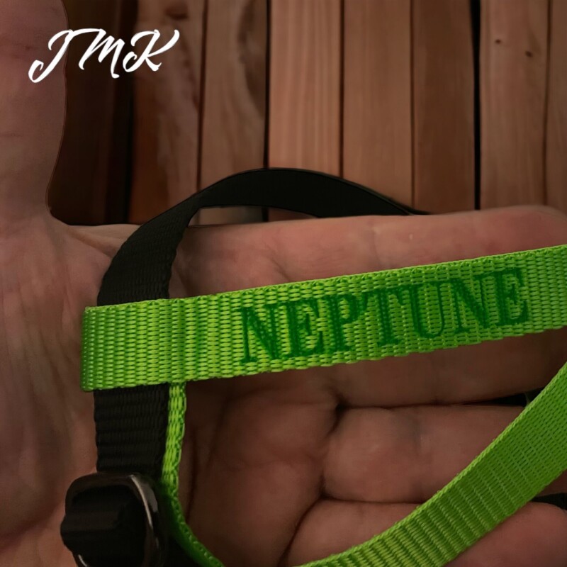 Jméno papouška na popruh